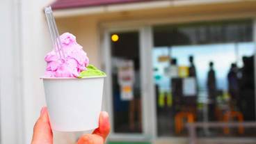 シティ ビュー / 36