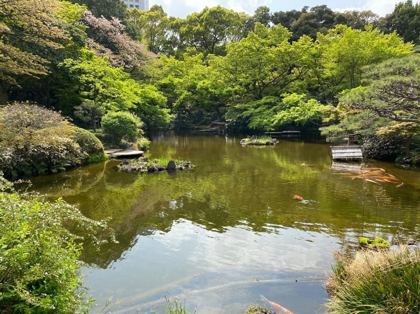 best_resorts_food_collectionさんの写真 / 3