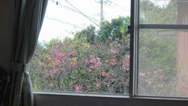 部屋からの景観 / 13