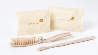 モデレート クイーン