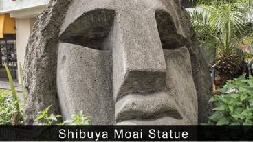 シティ ビュー / 32