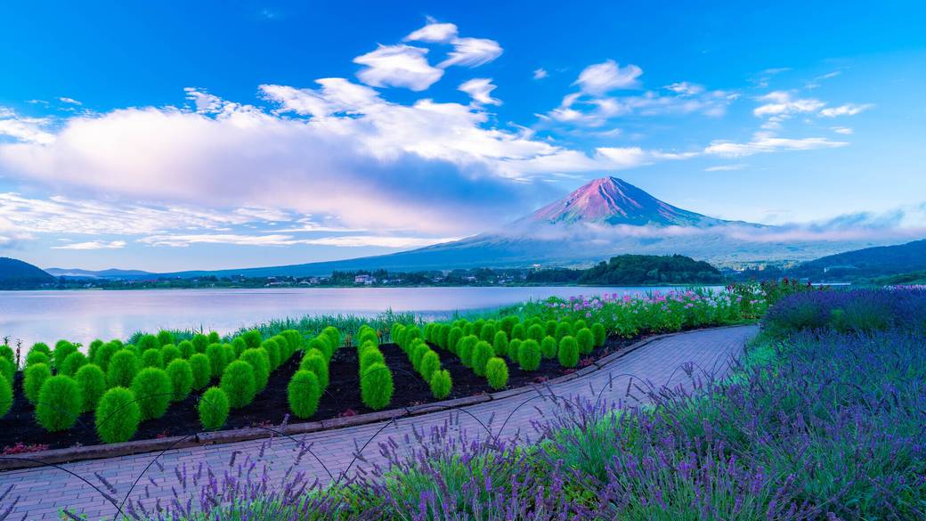 富士山のお膝元
富士河口湖町へ / 1
