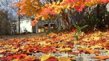 施設の敷地 / 16