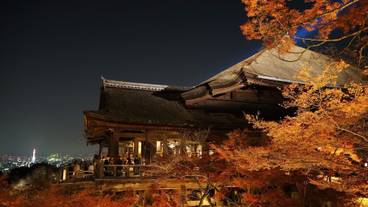 観光スポット / 5