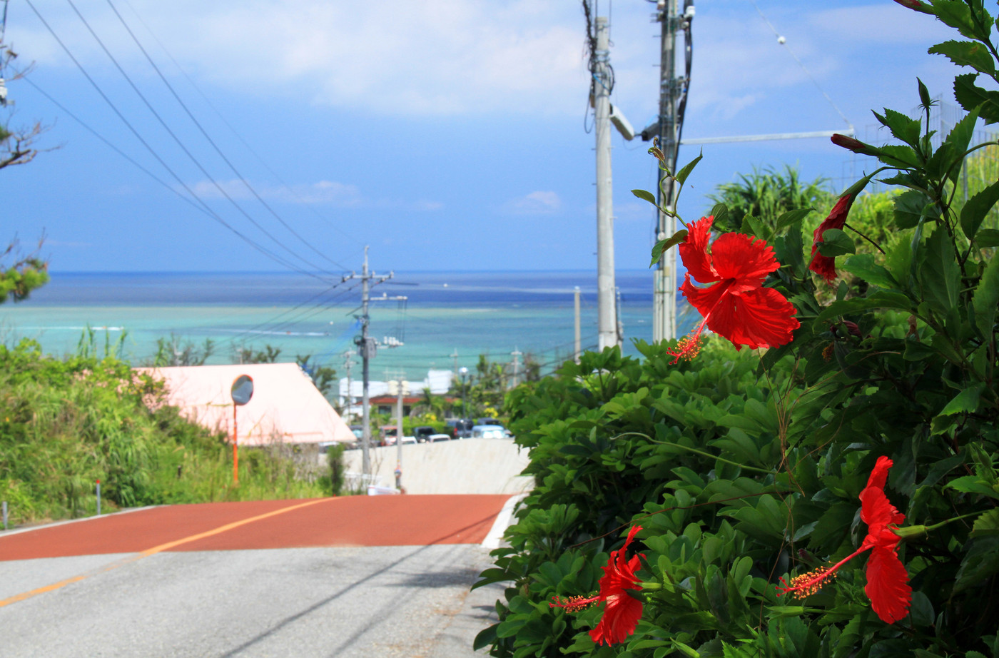 沖縄　青い海と青い空と赤いハイビスカス