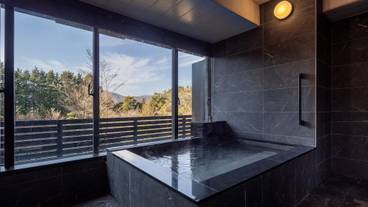 半露天風呂の温泉 / 16