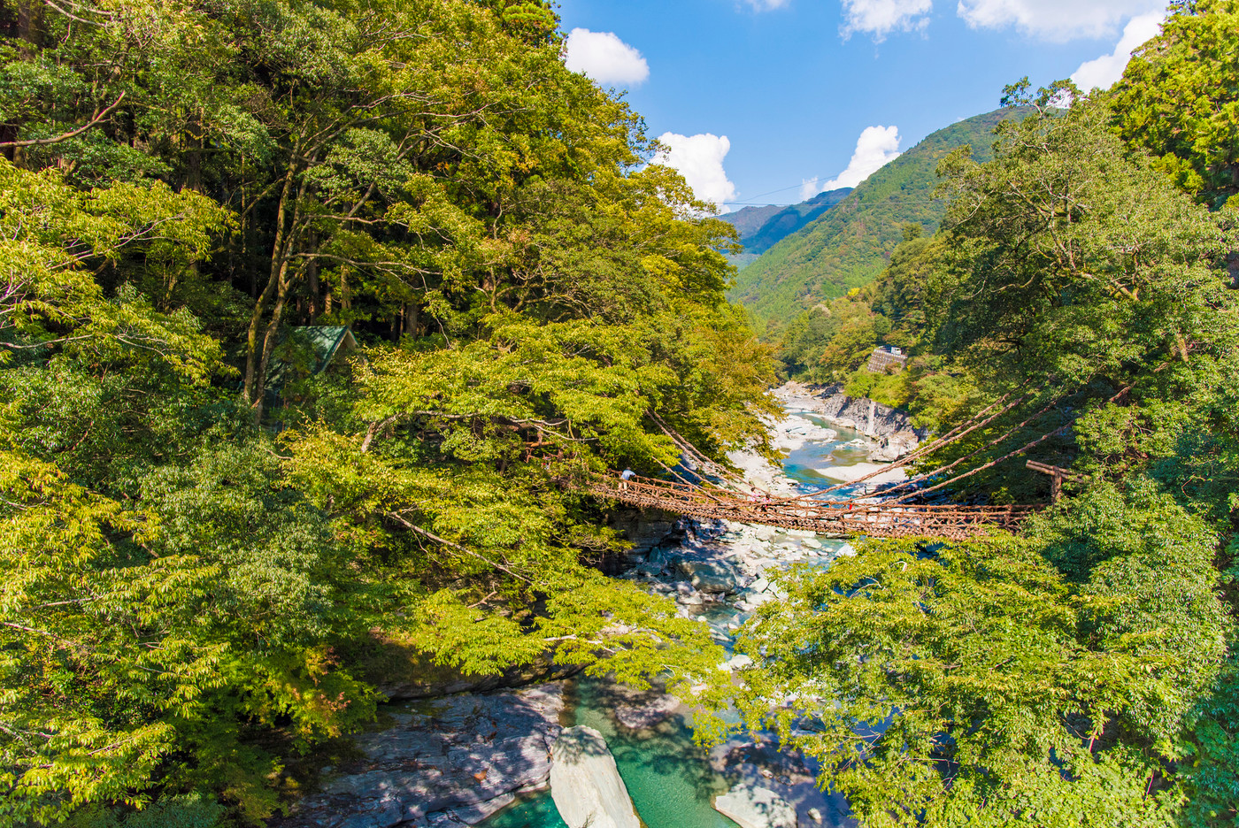 祖谷のかずら橋