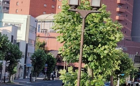 アートホテル盛岡（岩手県 ビジネスホテル） / 1