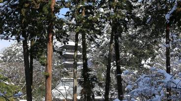 施設からの眺望 / 15