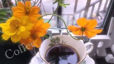 レストラン / 11