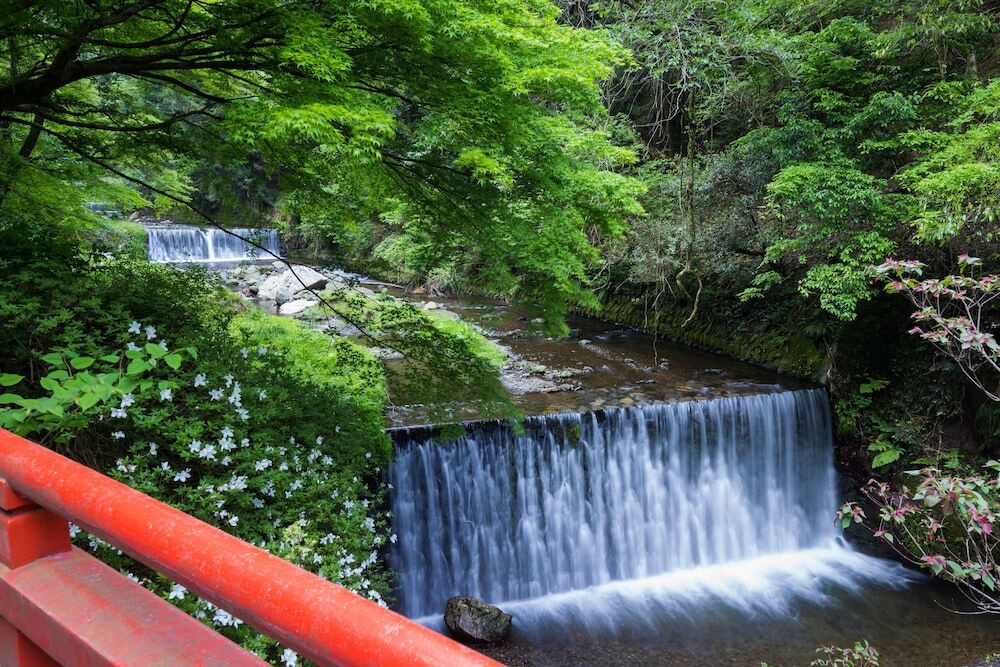 部屋からの景観