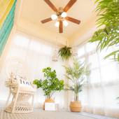 White House（沖縄県 コテージ・ロッジ・一棟貸） / 3