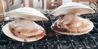 新鮮プリプリなハマグリを浜焼きでいただきまーす！九十九里『浜茶屋 向島』