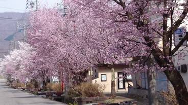 施設からの眺望 / 29