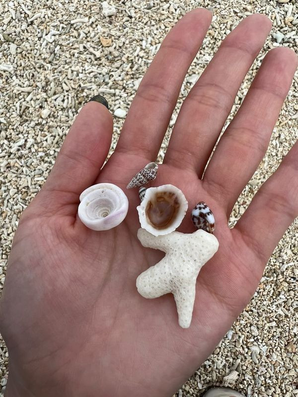 aiuchannさんの写真 / 3