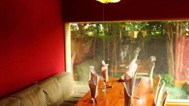 レストラン / 25