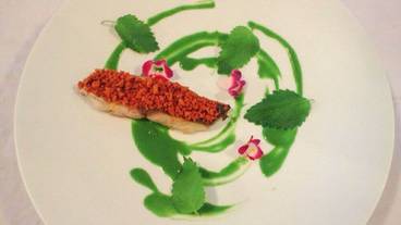 食事・飲み物 / 18