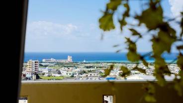 ビーチ / オーシャン ビュー / 20