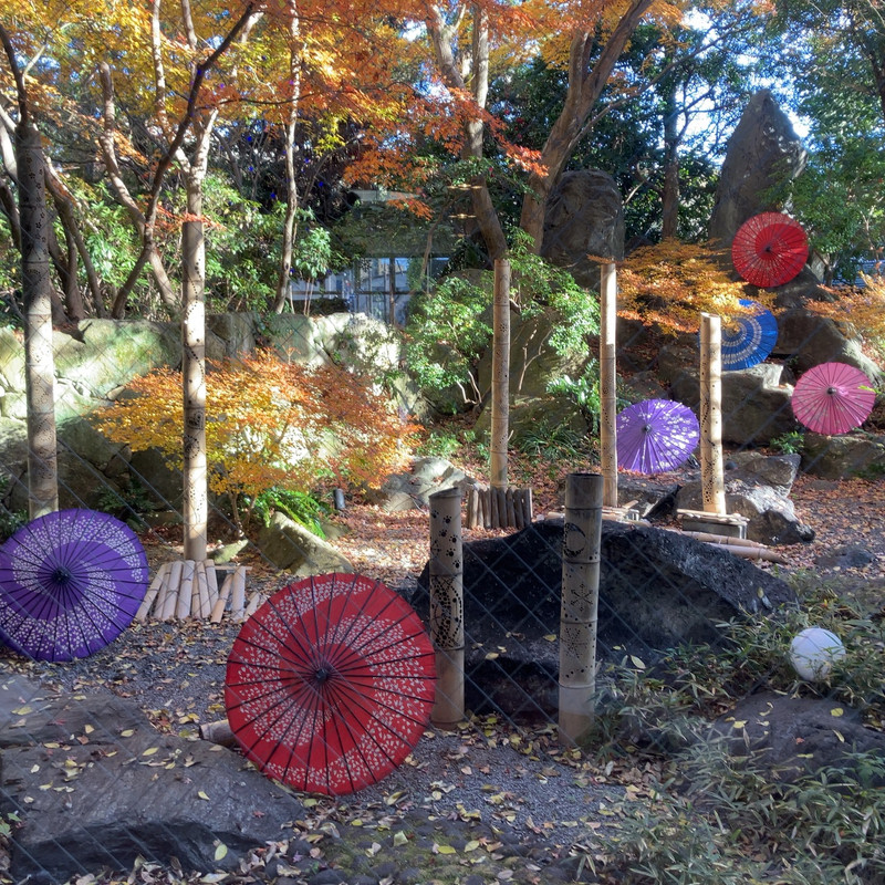 ラウンジから見る庭園