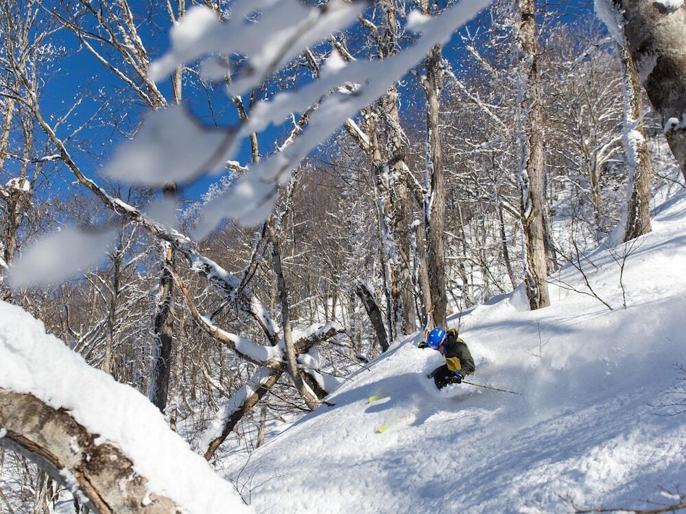 スノー スポーツとスキー