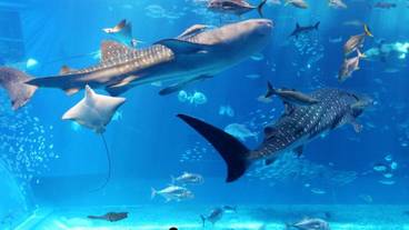 観光スポット / 8