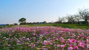 観光スポット / 8