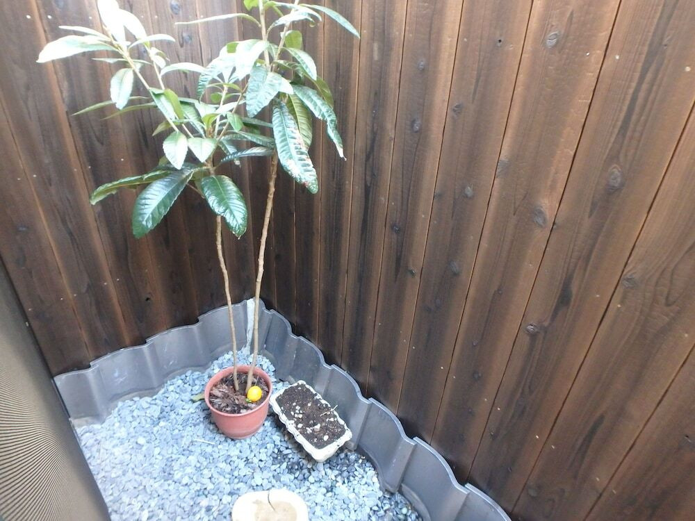 部屋からの景観