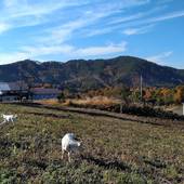 ちきちきばんばん（長野県 ペンション） / 2