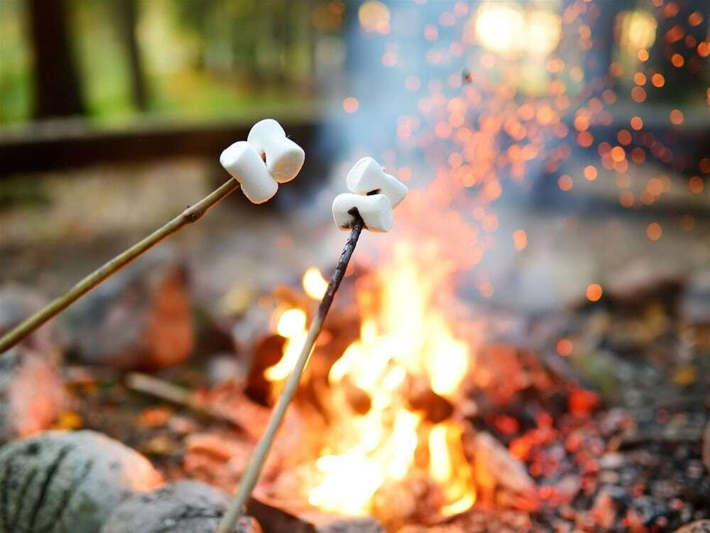 全室プール付きのヴィラで逃避行4255808