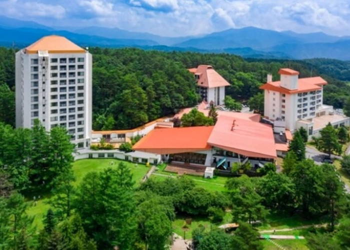 広大な敷地内には、空中アスレチックが楽しめる「草津フォレストステージ」も