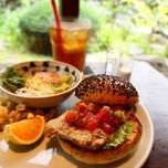 地元民がおすすめする！松山のランチ8選をご紹介します！