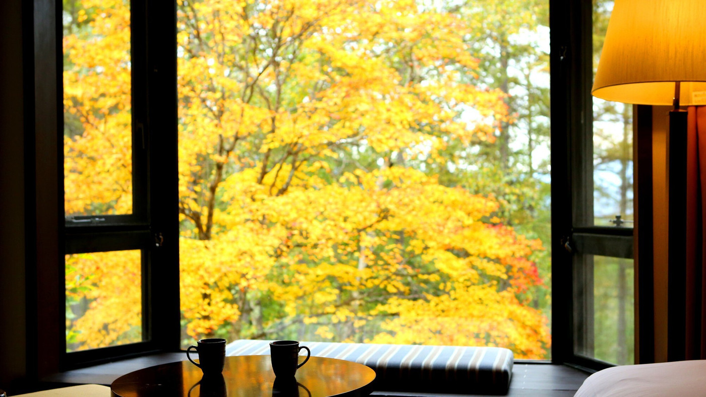 自然たっぷりの蓼科でリフレッシュしよう♪3403695