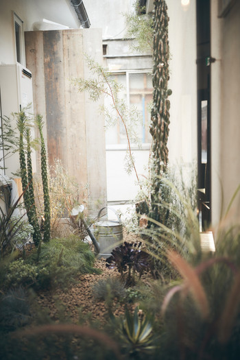 女子のひとり旅は宿の歓迎でさらに楽しくなる！3433641