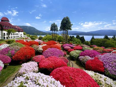 小田急 山のホテル / 1