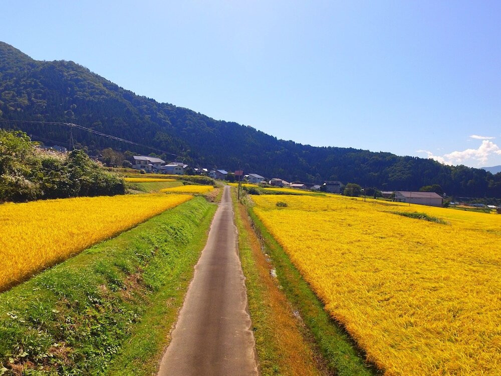 マウンテン ビュー