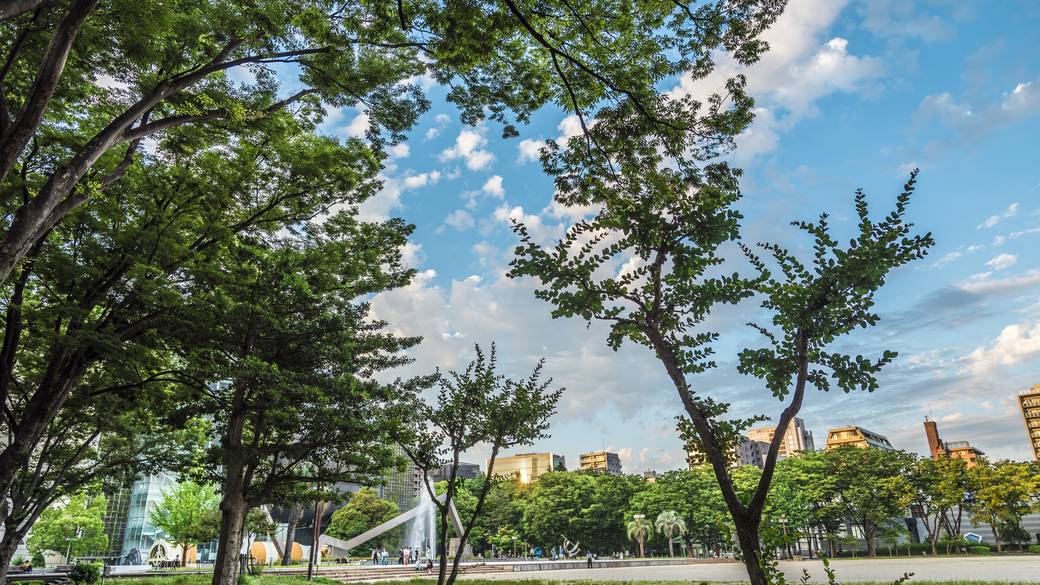白川公園 / 3