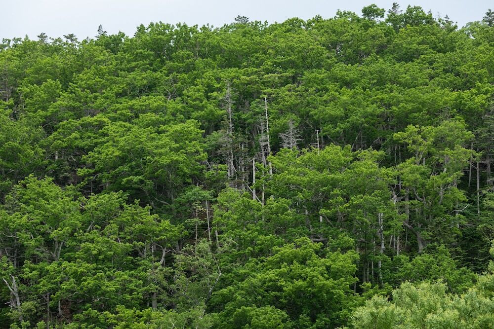 部屋からの景観