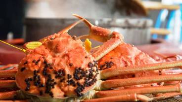 食事・飲み物 / 1