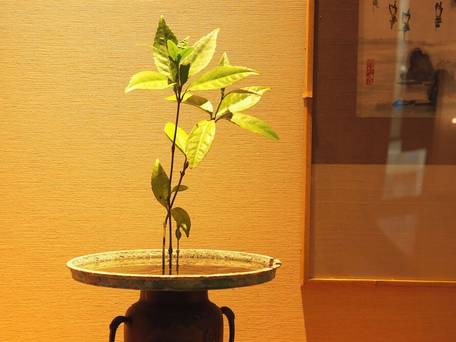 大地の彩 花月亭 / 3