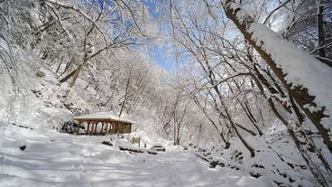 観光スポット / 6