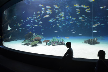 2.特別展示が楽しい♪「サンシャイン水族館」1989672