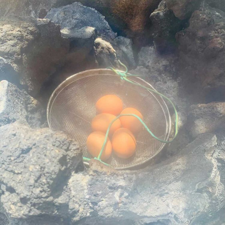 ayu_sakashitaさんの写真 / 1