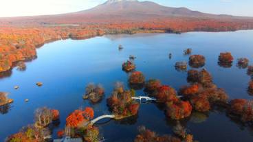 秋の大沼国定公園 / 3