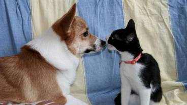 ロビー応接スペース / 2