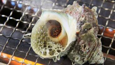 食事・飲み物 / 3