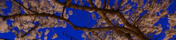 【郡山】高級ホテル・旅館7選！カップルで贅沢な福島旅を