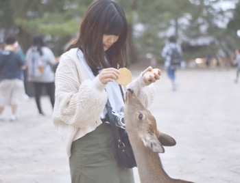 奈良で出会った鹿との一枚です。