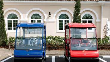 ゴルフ用カート / 8