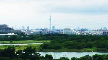 施設からの眺望 / 11