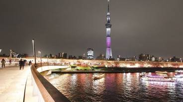 観光スポット / 8